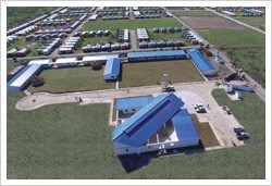 아이티 지진복구 5