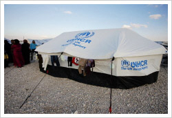 팔레스타인 난민 지원 2